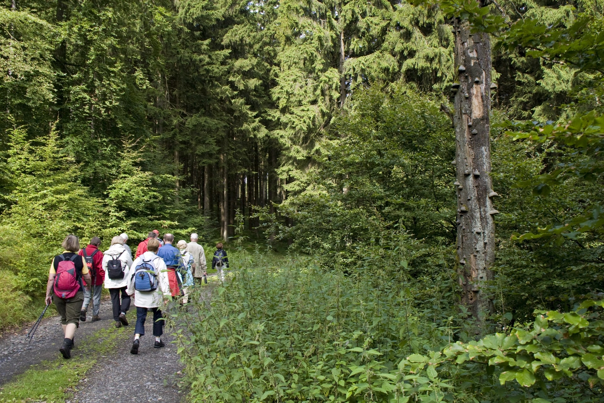 4 Tageswanderungen (ca. 12 - 16 km je Tag) unter Führung von Familie Wiese-Gerlach